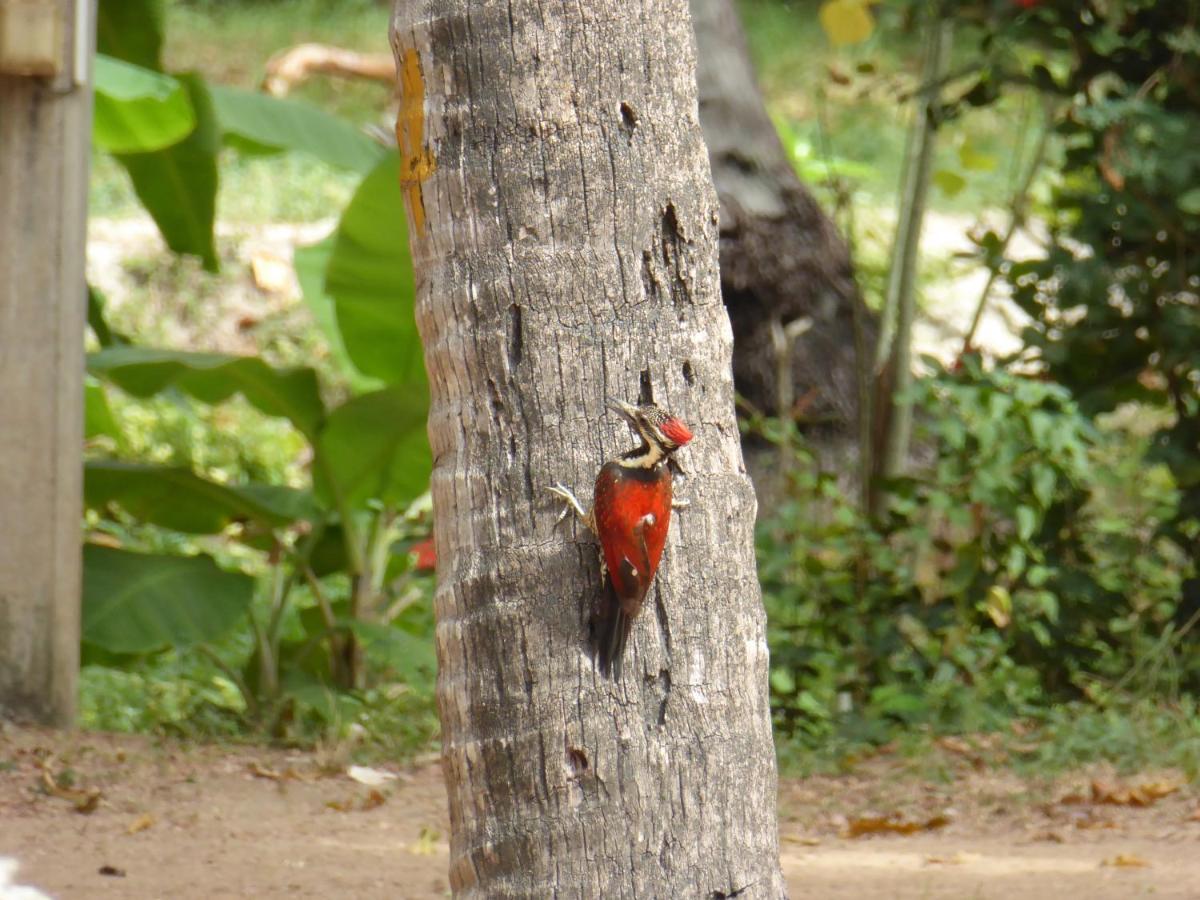 Riviera Resort Batticaloa Luaran gambar